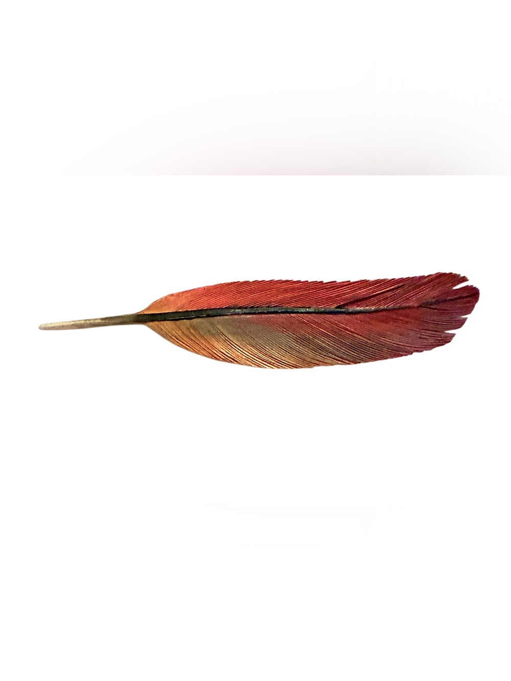 Vintage WARD E HERRMANN Artist Feather Brooch Hand painted Carved